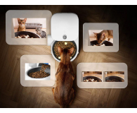 PetKit Yumshare SOLO 2 inteligentny dozownik karmy - 1606085 - zdjęcie 8